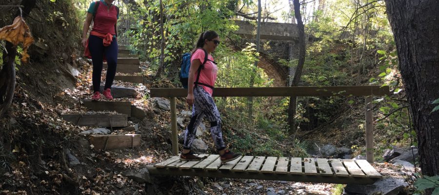 pontet-de-fusta-cami-aigua-bolvir pontet-de-fusta-cami-aigua-bolvir