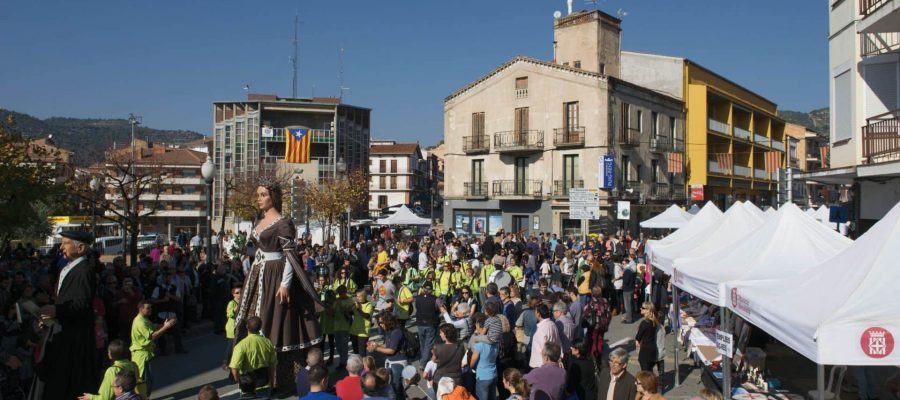 puig-reig_festes_fira_sant_marti_portada