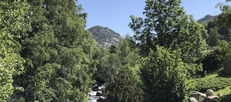 Excursionistes camí de Prat de Cadí en una imatge d'arxiu.|La muntanya de la Tosa nevada al fons en un dia de primavera.|Paisatge de finals de primavera a l'Alta cerdanya