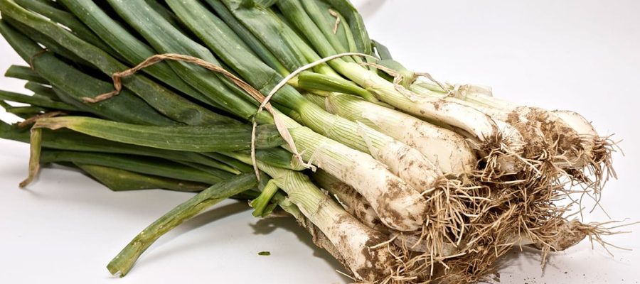 temps calçots