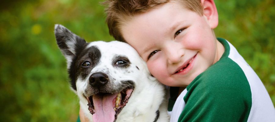 tenir-un-animal-de-companyia-a-casa_opt