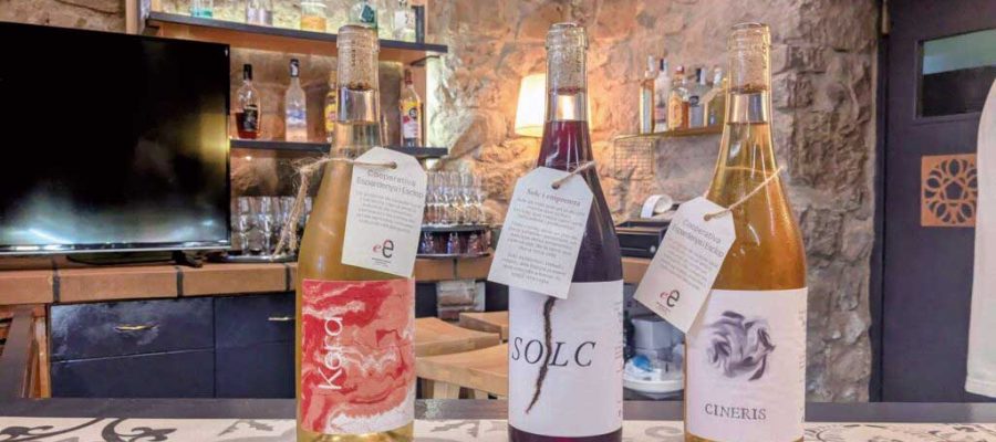 vins-cooperativa-espardenya-i-esclop-2025-1024x576